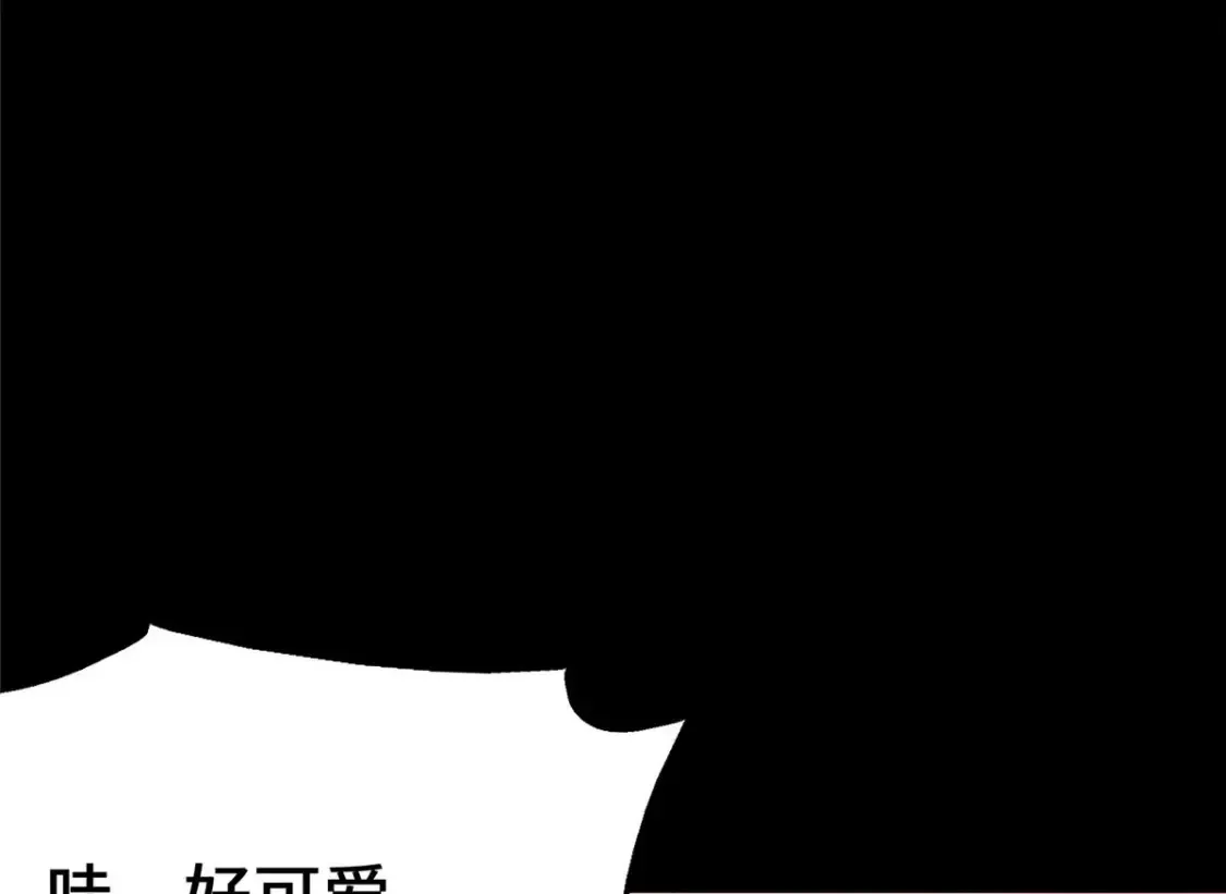 379 第23页