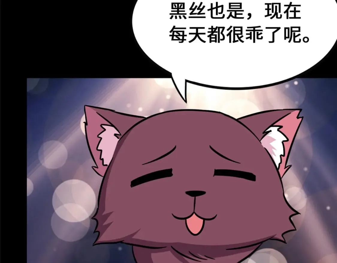 378 第68页