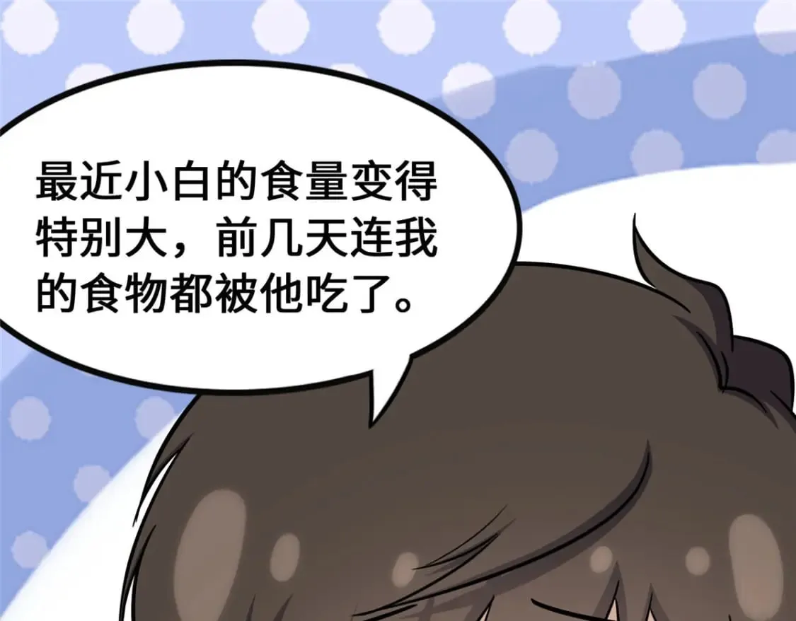 378 第75页