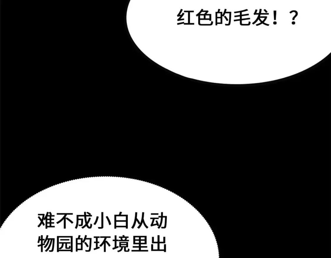 378 第83页