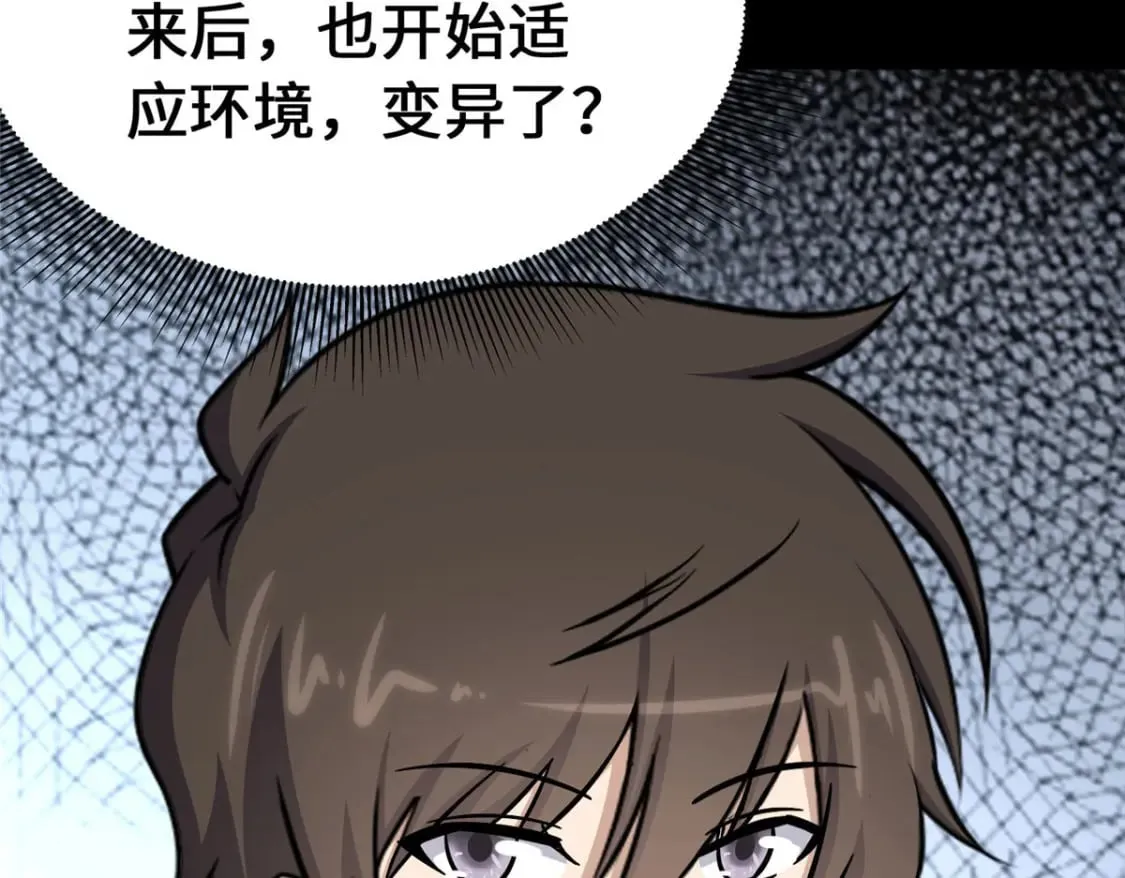 378 第84页