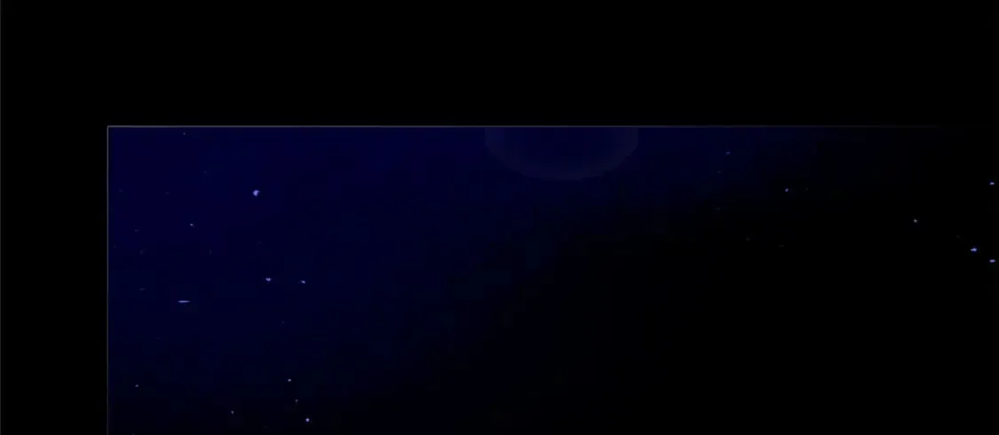 369 第113页