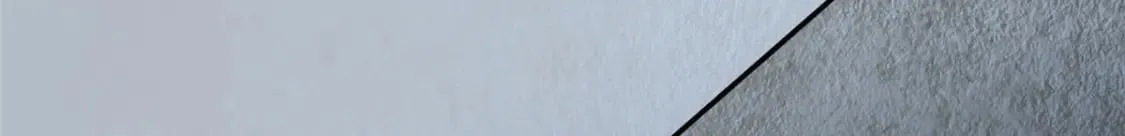 368 第65页