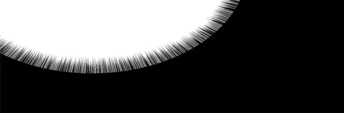 368 第116页
