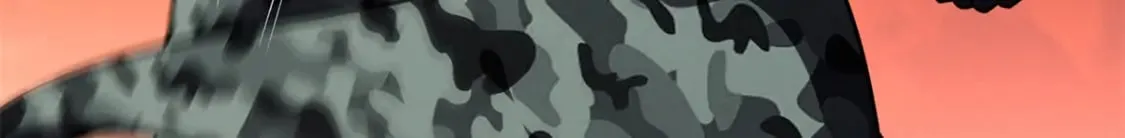 470 第96页
