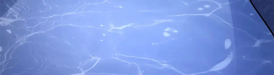 470 第221页