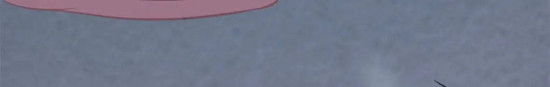 471 第117页