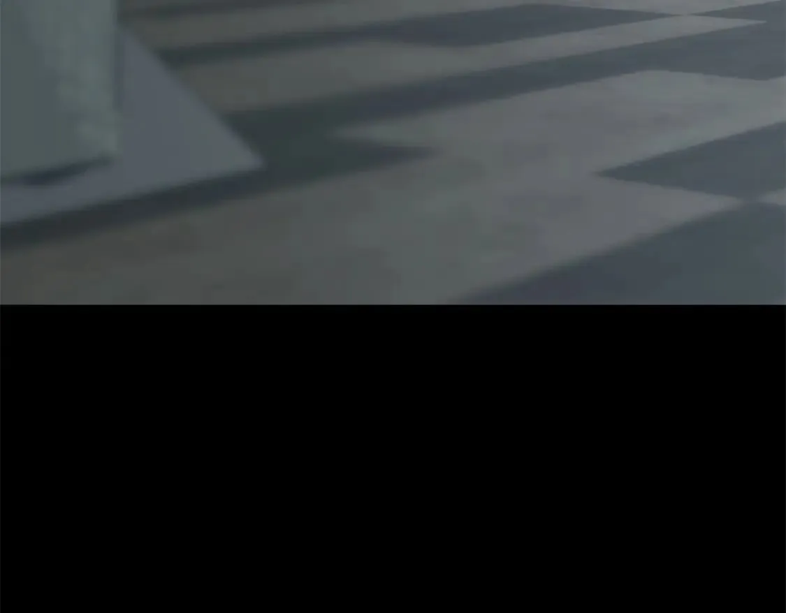 471 第161页
