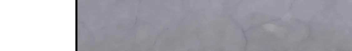 472 第87页