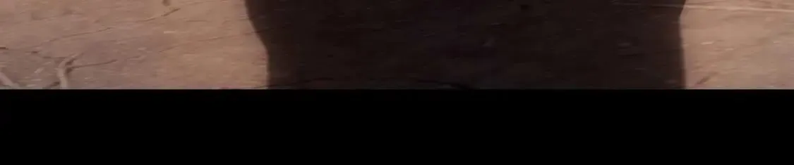 472 第120页