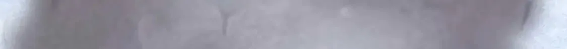 474 第136页
