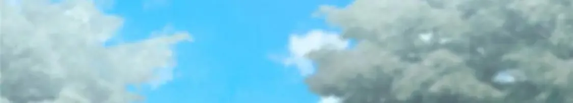 475 第99页