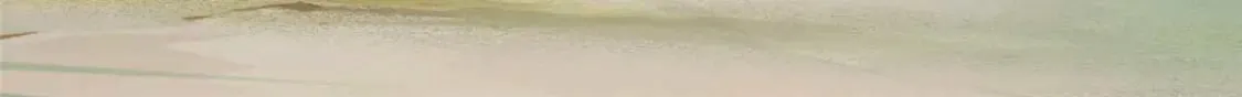 475 第195页