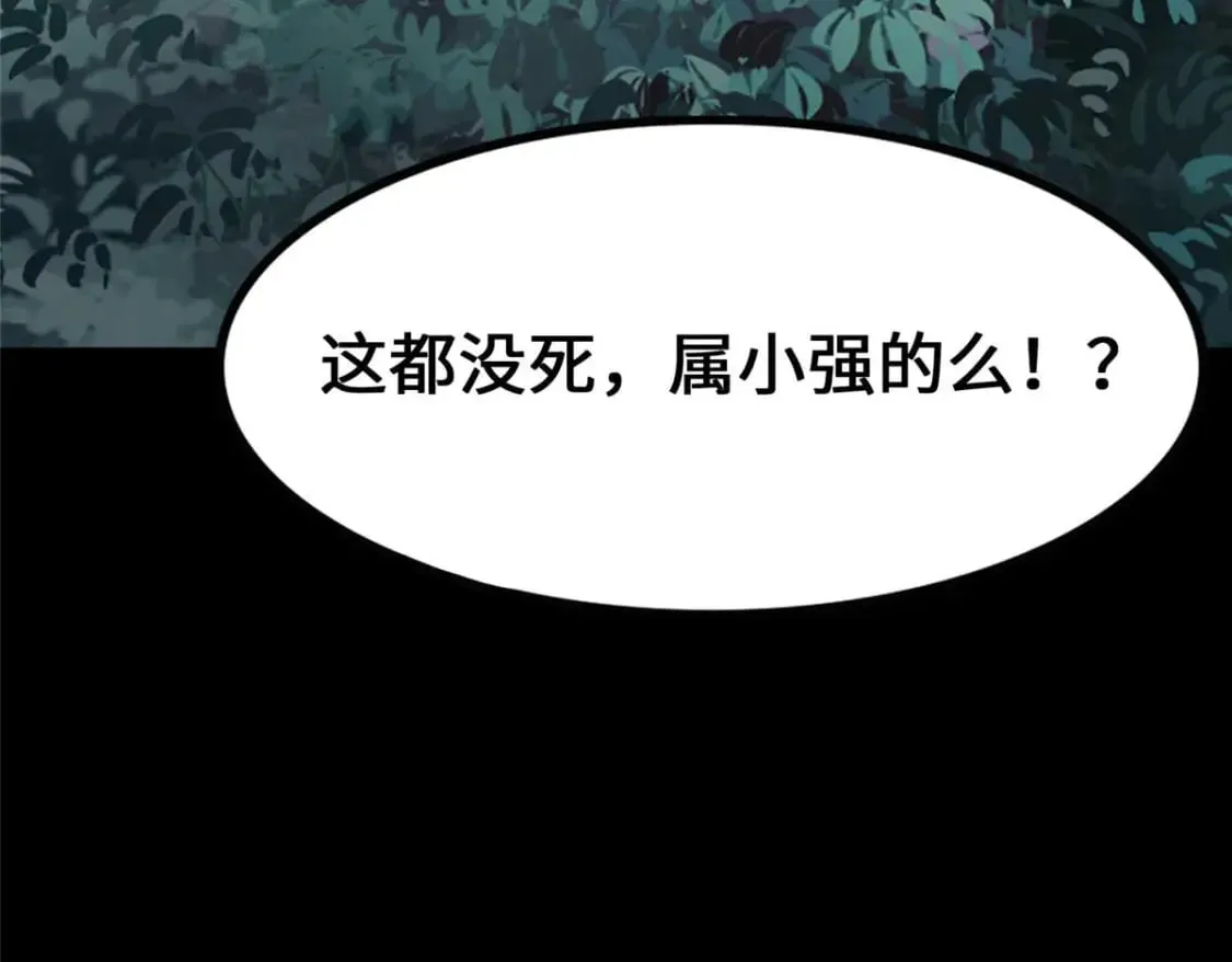 475 第215页