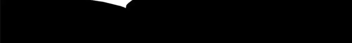 475 第246页