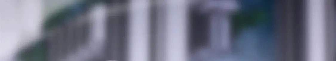 477 第30页