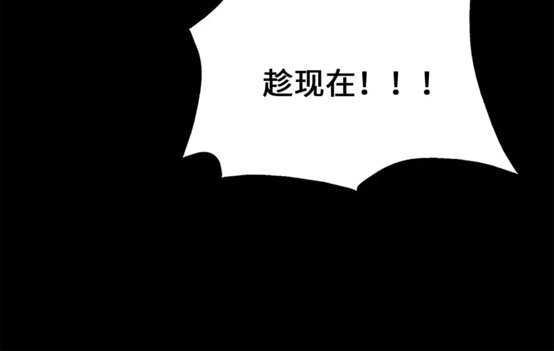 477 第171页