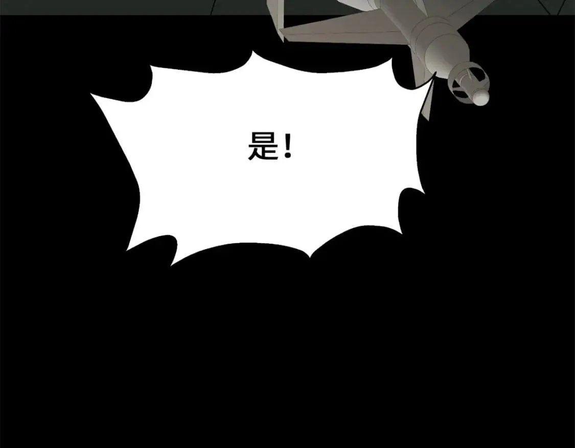 478 第85页