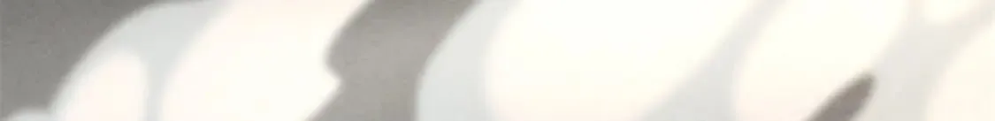 478 第98页