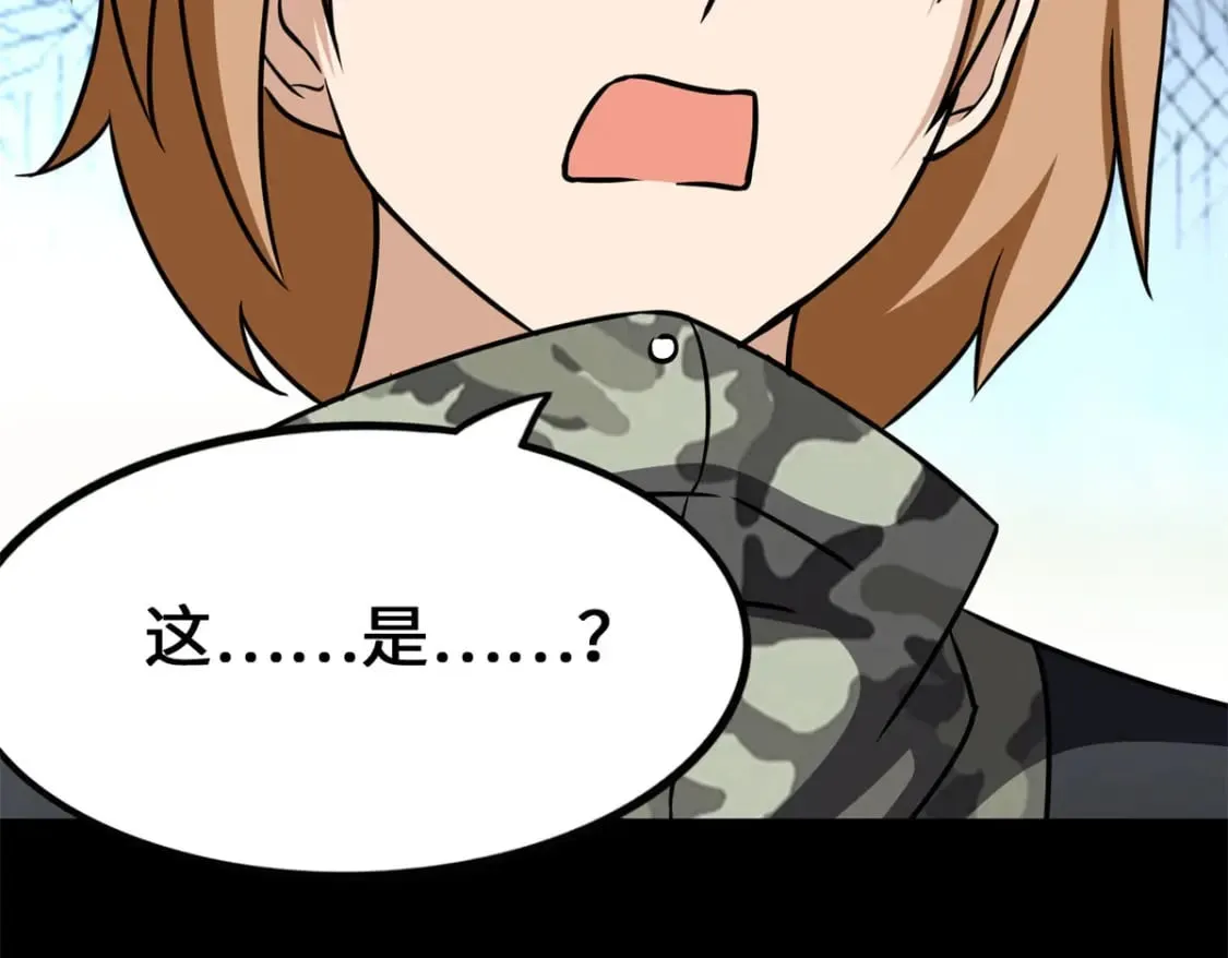478 第116页