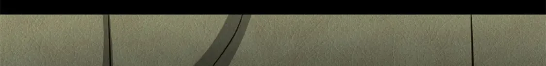 478 第162页