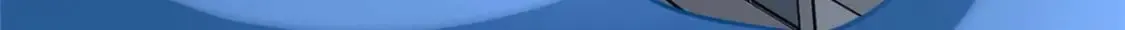 480 第137页