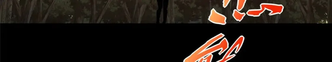 480 第266页