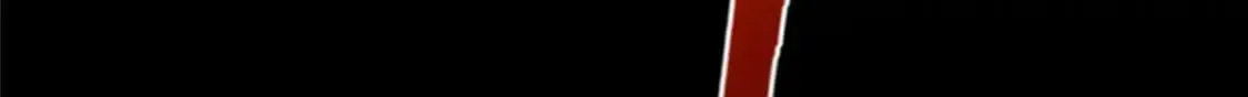 481 第88页