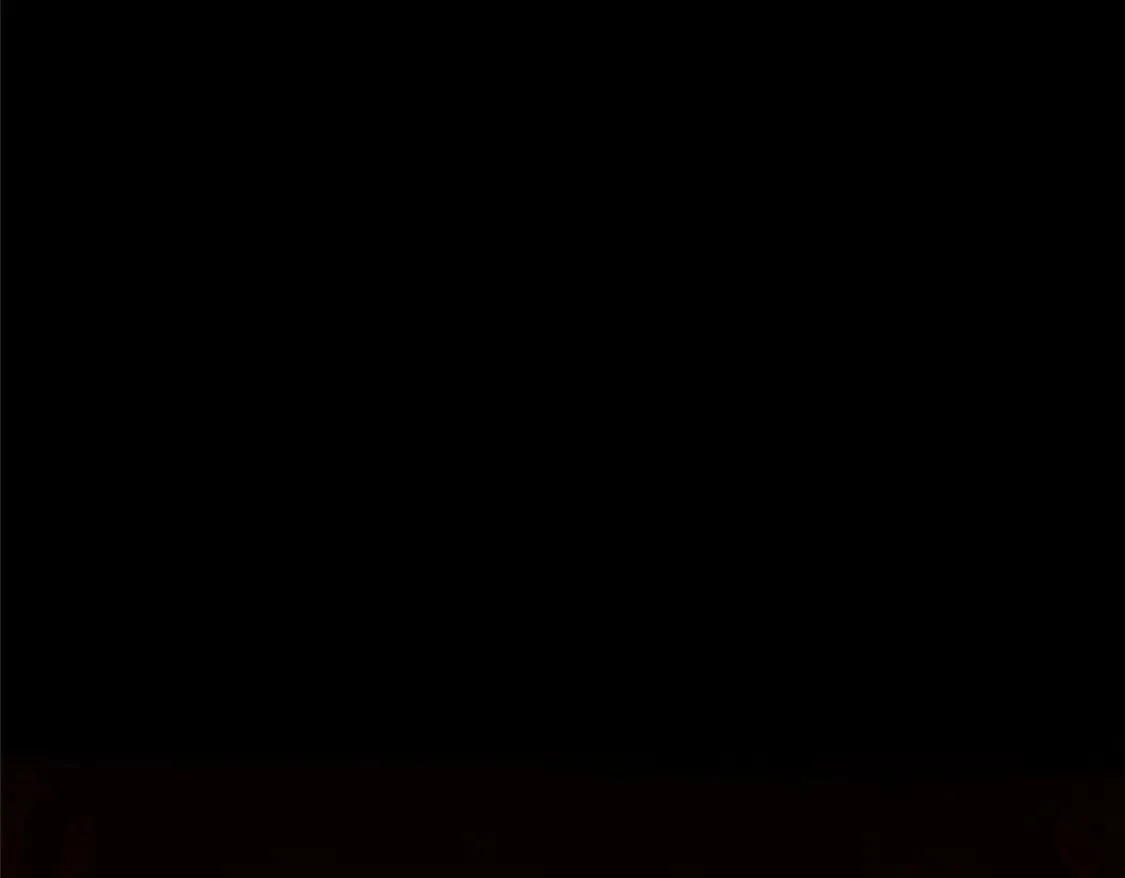 481 第110页