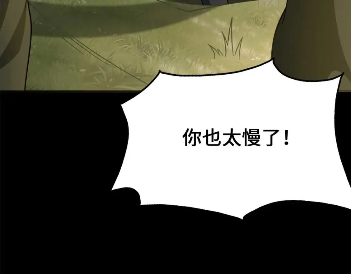 481 第176页