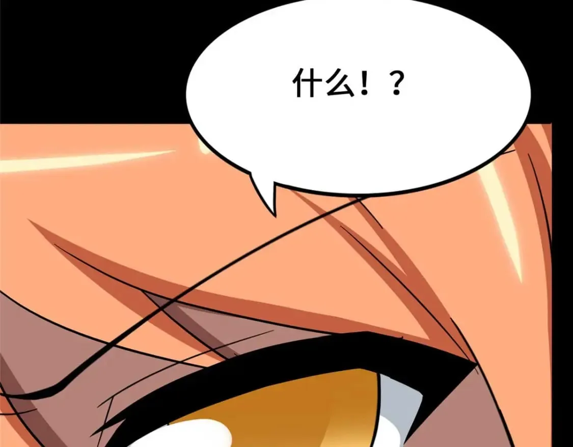 481 第213页