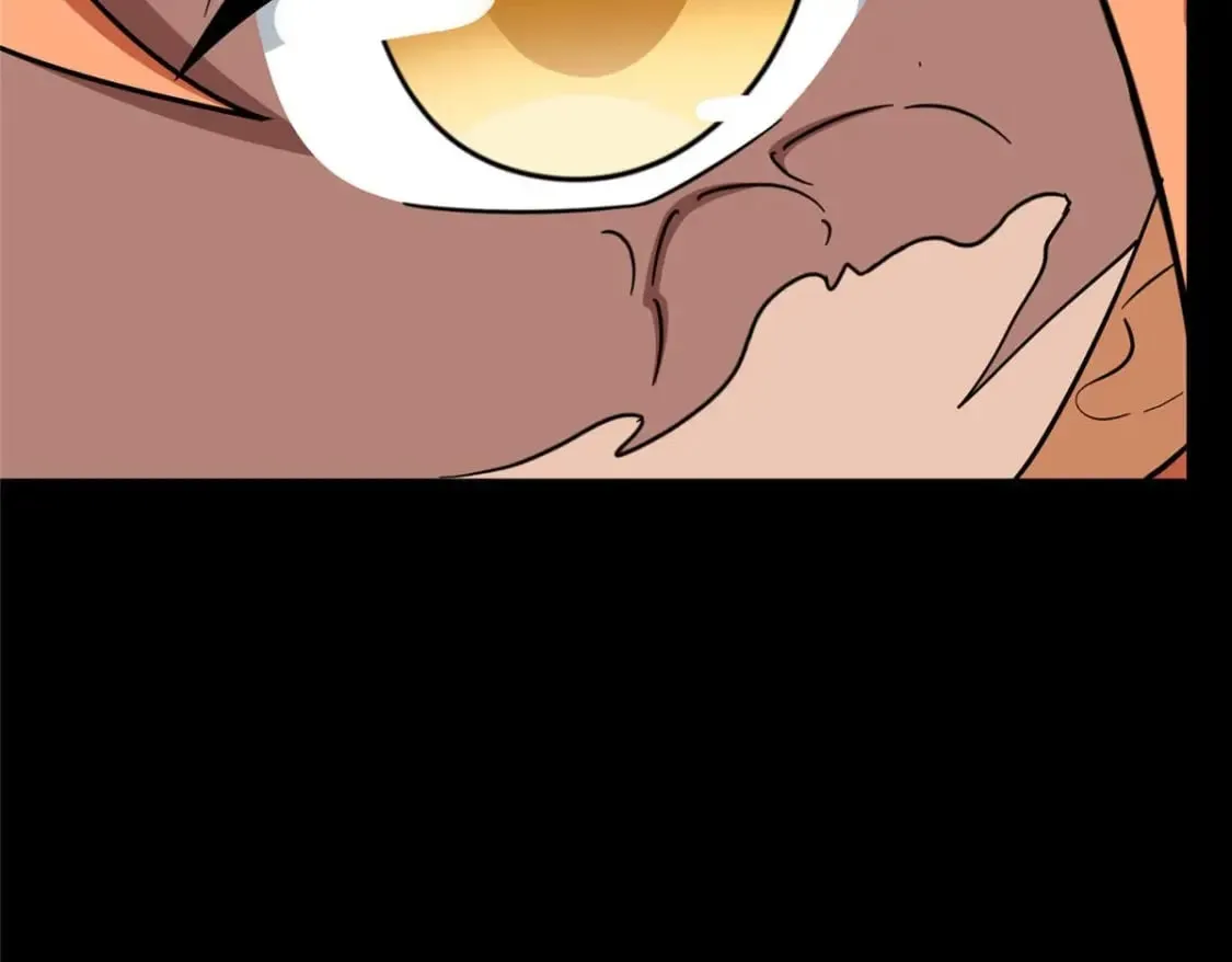 481 第214页