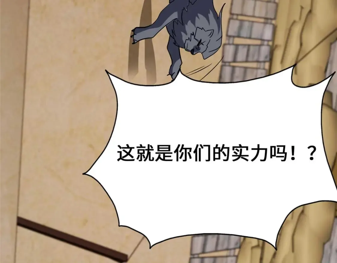 482 第42页