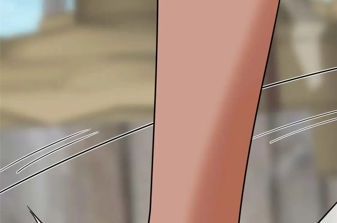 482 第112页
