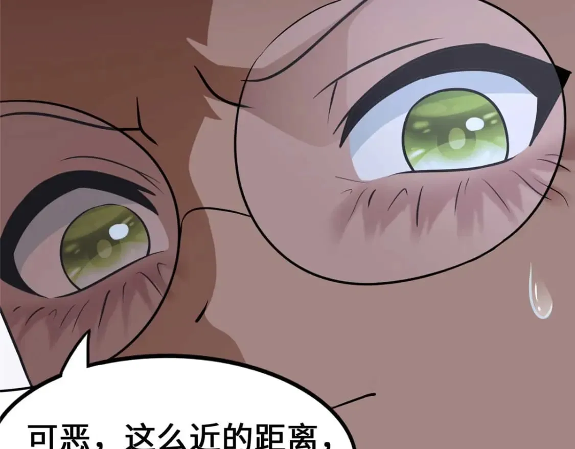 482 第148页