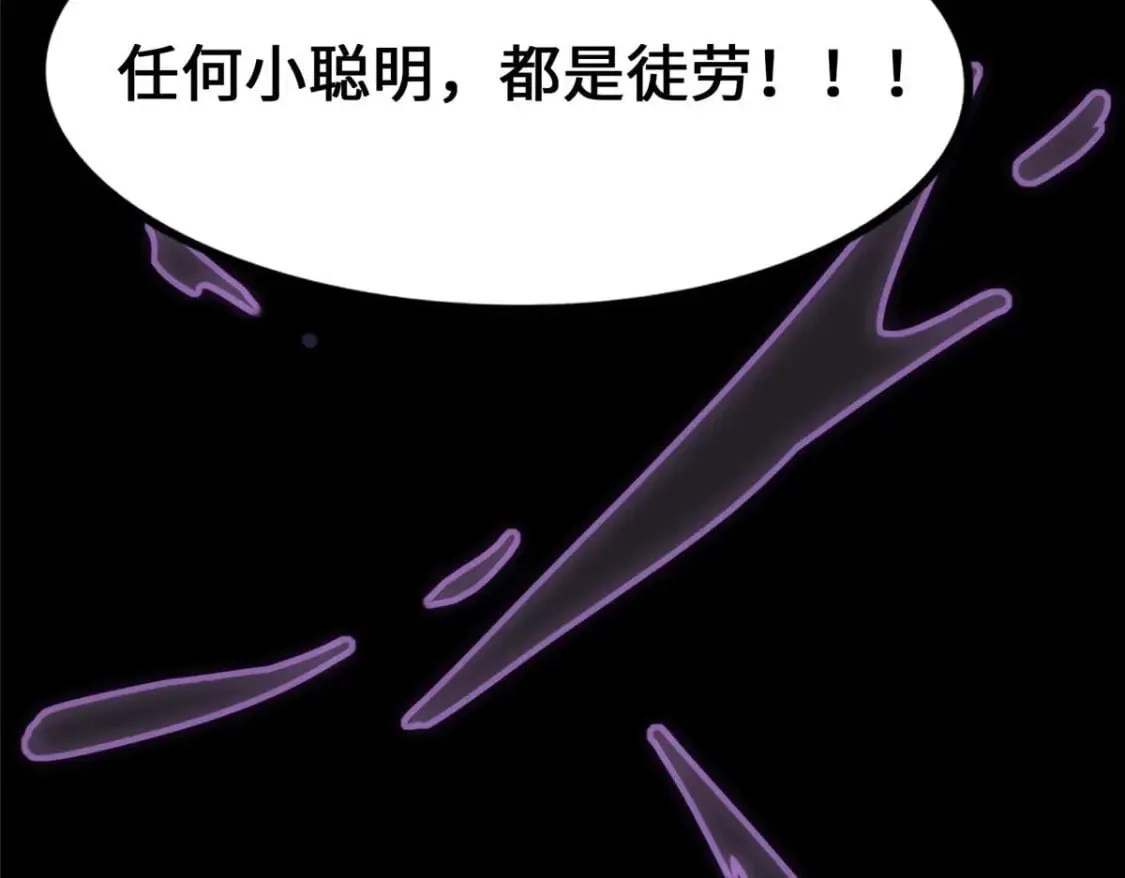 482 第204页