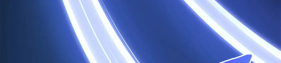 484 第101页