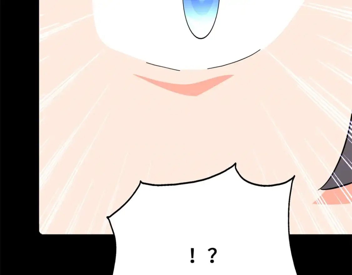 485 第237页