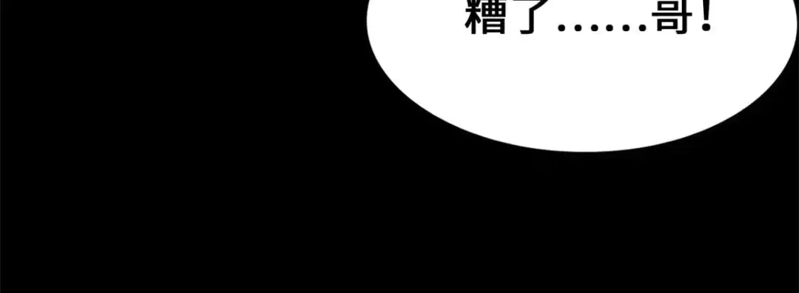 485 第335页