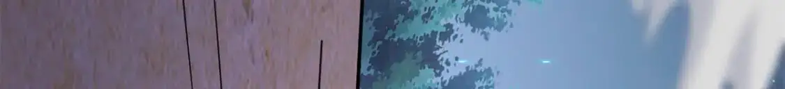 487 第64页