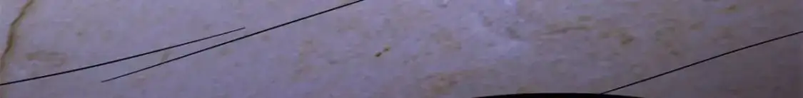 487 第225页