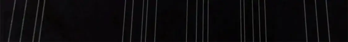 487 第239页