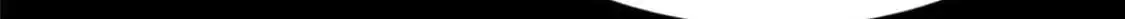 488 第39页