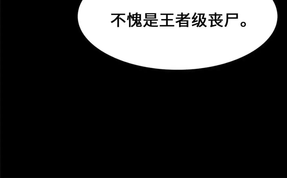 488 第194页