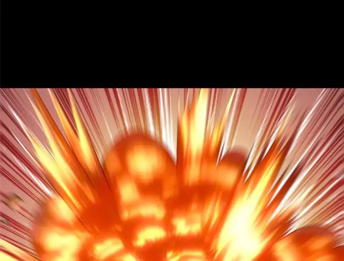 489 第113页