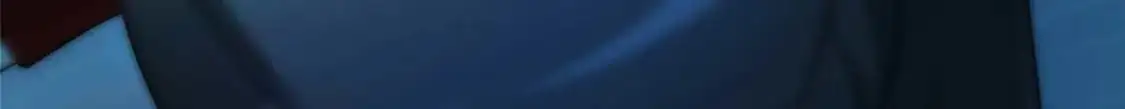 490 第252页