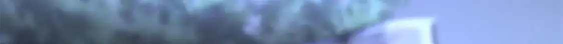 492 第26页