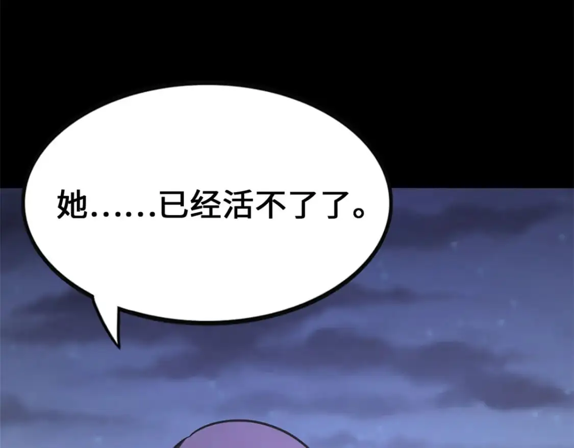 492 第113页