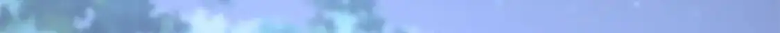 492 第133页