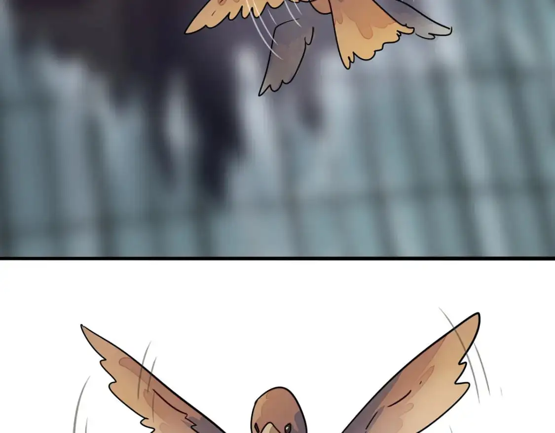 493 第5页